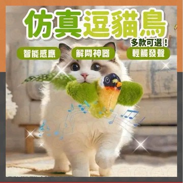【現貨秒發】逗貓棒 貓玩具 寵物玩具 電動抖抖鳥 仿真發聲小鳥 逗貓棒 仿真小鳥 發聲貓玩具 拍打即響互動玩具 逗貓玩具