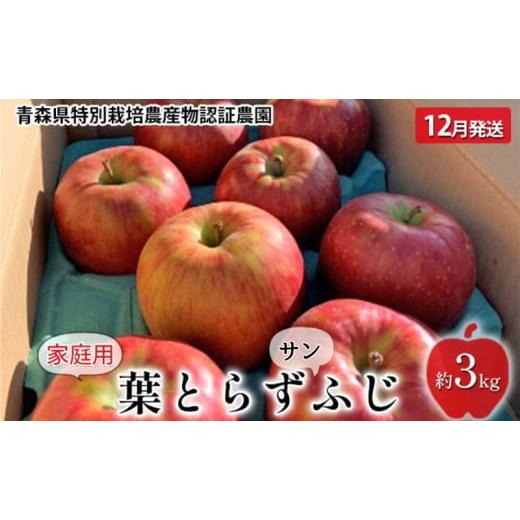 ふるさと納税 青森県 弘前市 家庭用 葉取らず サンふじ 約 3kg 青森県特別栽培農産物認証農園 