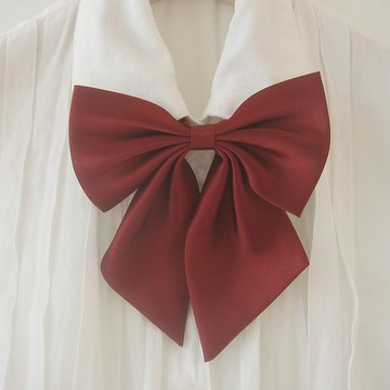 葡萄酒大絲帶領帶，葡萄酒大絲帶領結女士，婚禮，絲帶領帶