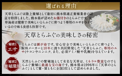 大皿使用　国産最高級!天草とらふぐフルコース　(7～8人前)