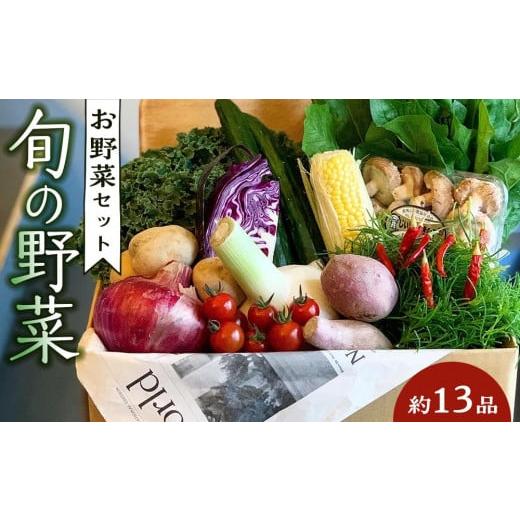 ふるさと納税 徳島県 徳島市 野菜セット 旬の野菜 (約13品)