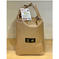 新米 令和5年産 小田原の米「はるみ」玄米 15kg(5kg×3袋)