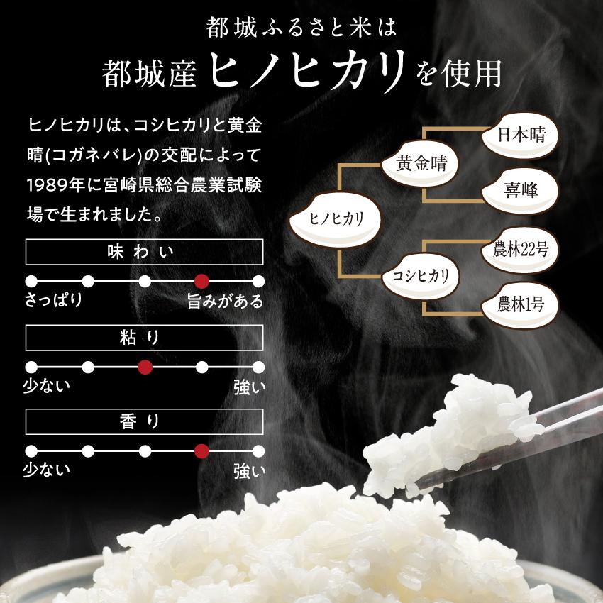 三十雑穀 ふるさと米 しあわせゴハンセット 国産 ひのひかり 無洗米 30雑穀米 雑穀 雑穀米 1食で30品目の栄養 送料無料 ポイント消化