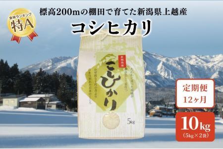 定期便12回発送｜新潟県上越市中郷産 従来種コシヒカリ 精米10kg（5kg×2袋）×全12回