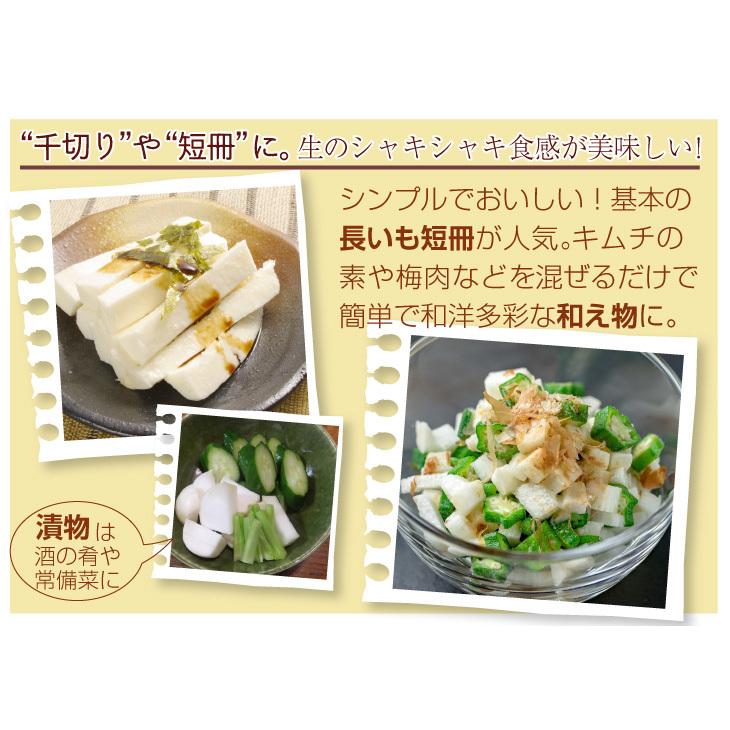 長いも 2.5kg 土付き長いも 青森産 500g×5袋 規格外 切れ子 送料無料 食品