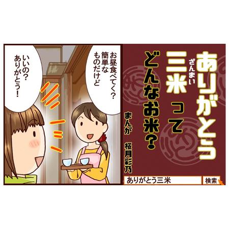 ふるさと納税 5kg×4回 新潟産いのちの壱コンテスト受賞者の米 新潟県田上町