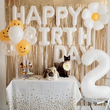 🐾 寵物佈置 雨簾 貓咪生日佈置套組 狗狗生日佈置套組 生日佈置 生日佈置套組 狗狗生日 貓咪生日 寵物紀念日 派對佈置