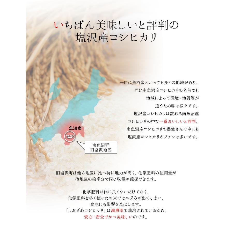 新米 令和5年度産 お米 こしひかり コシヒカリ 南魚沼産 武右衛門 白米10kg新潟産 新潟県産 農家直送 魚沼産 塩沢産 評価特Aランク