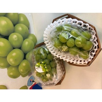 【新鮮水果】超大顆!! 超高品質韓國麝香葡萄450G