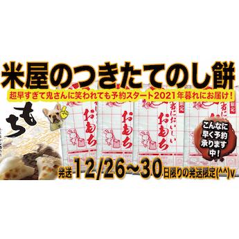 のしもち 2.5kg×4枚 米屋のつきたて のし餅 お餅