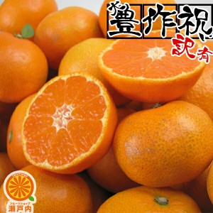 愛媛産 温州みかん 5kg 訳あり・不揃い( 約0.5kg多め)愛媛県産 フルーツ ご家庭用 果物 くだもの 果実 青果