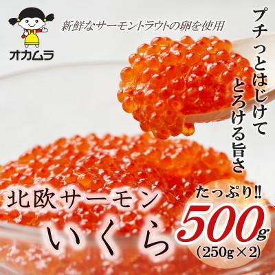 ふるさと納税 青森市 オカムラ食品工業の北欧サーモンいくら 500g(250g×2)