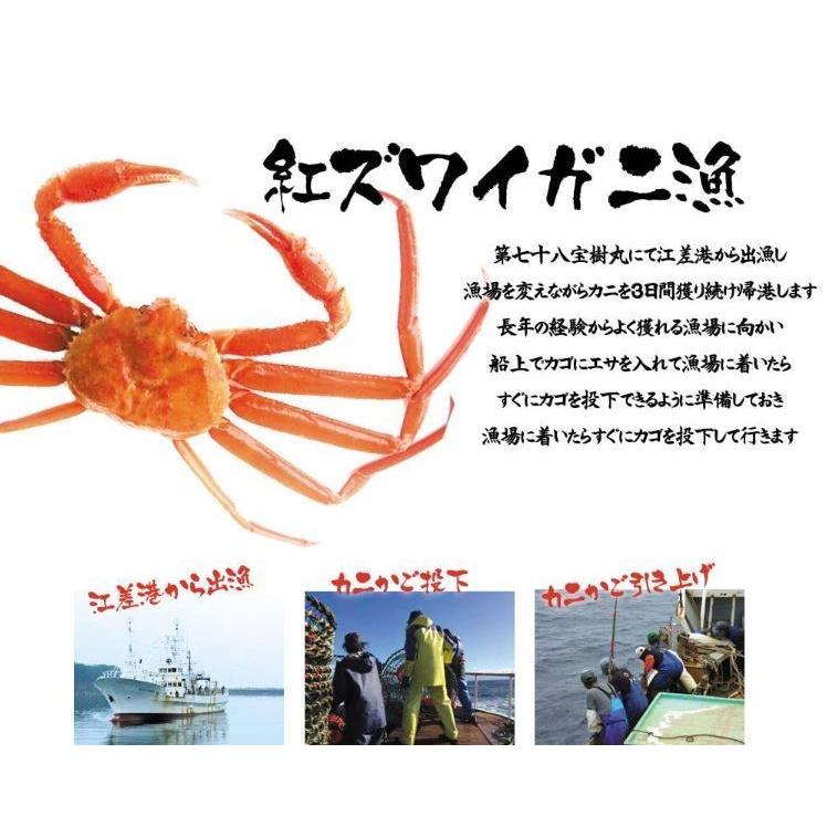 北海道直送　国産冷凍 ボイル済 紅ズワイガニ姿 約4kg (6~8杯入) A品 2022年新物 第七十八宝樹丸 松田船長 漁師さん応援キャンペーン 4kg×1箱 冷凍品