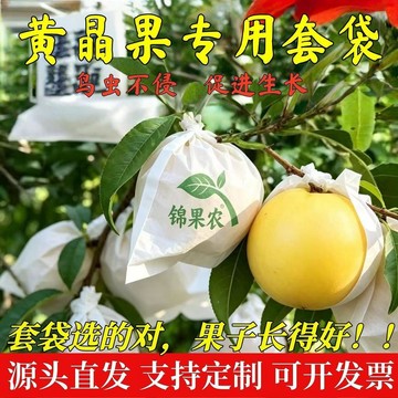 🔥在臺出貨🔥黃晶果套袋專用袋熱情果黃金百香果雞蛋果牛奶果白黑柿蛋黃果袋子