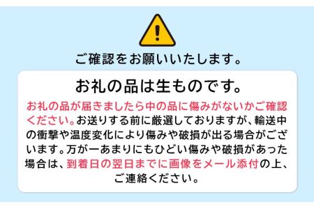 期間限定！季節の野菜・加工品 7～10種以上 詰合せ「おもいでな野菜セット」 [e26-a001]