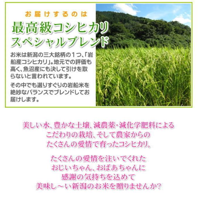 敬老の日 プレゼント お米 4kg 高級銘柄米 棚田米 新潟産コシヒカリ 無洗米 敬老の日ギフト 新潟米 新潟 こしひかり 贈答 送料無料