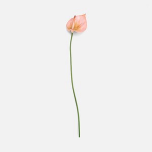 查莉擬真花插火鶴花63cm 粉膚