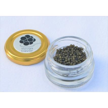 ふるさと納税 日向キャビア(Hyuga Caviar) 10g(冷凍・フレッシュキャビア) [宮崎キャビア 宮崎県 日向市 452060321] 宮崎県日向市