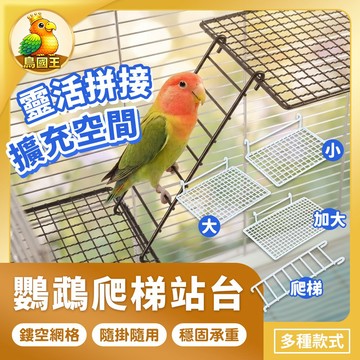 【鳥國王】鸚鵡爬梯站台 鸚鵡站台跳架 鸚鵡休息臺 不鏽鋼站架 休息平臺 掛籠爬梯 不鏽鋼爬梯 攀爬平台 鳥籠配件 鳥用品
