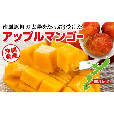 ふるさと納税 芳醇な香り　とろける食感　家庭用マンゴー1.5kg 沖縄県南風原町