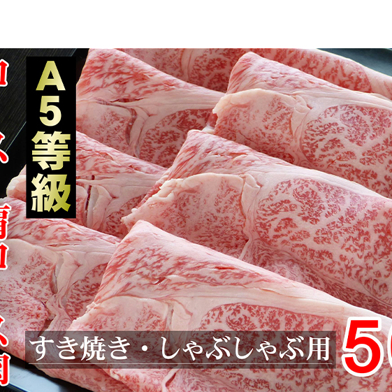 牛肉 飛騨牛 すき焼き セット ロース 又は 肩ロース 500g 黒毛和牛 Ａ5 美味しい お肉 牛 肉 和牛 すき焼き肉 すきやき すき焼肉 しゃぶしゃぶ しゃぶしゃぶ肉 