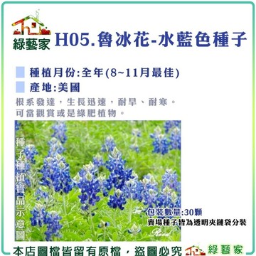 【綠藝家】H05.水藍魯冰花(水藍色)種子30顆(根系發達，生長迅速，耐旱耐寒。)花卉 花類種子