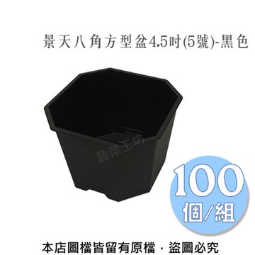 景天八角方型盆4.5吋(5號)-黑色 100個/組