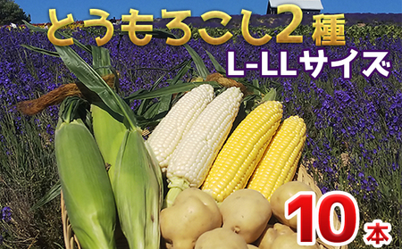 かんのファーム産 とうもろこし 食べ比べ 10本 セット(じゃがいも付) 北海道 上富良野町 とうもろこし トウモロコシ セット じゃがいも ジャガイモ 先行受付