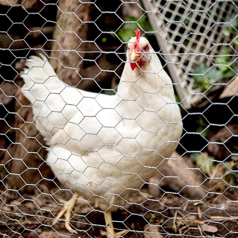 亀甲金網 ロール 幅1m×長さ25m メッシュ 防獣ネット フェンス 防鼠防鳥 農業用 家庭菜園 鶏小屋の外敵対策 DIY