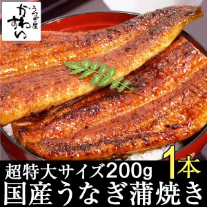 国産 うなぎ 蒲焼き 超特大200g 1本 贅沢 自宅 ギフト 贈り物 結婚 出産 お見舞 御祝 御礼 内祝 お取り寄せ グルメ ウナギ 鰻 冷凍 超特