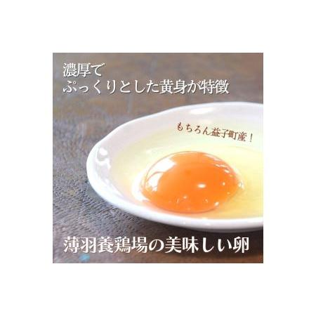 ふるさと納税 AA004 ＜12か月定期便＞旬の採れたてぜいたく野菜セット（卵付き）2人用　定期便 12カ月 野菜 やさい セット 旬 採れたて 卵 2人用.. 栃木県益子町