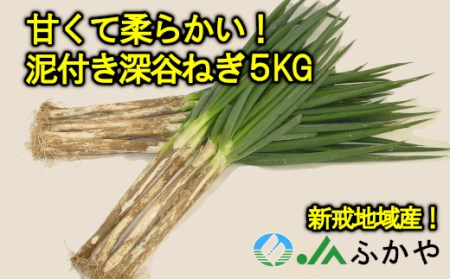 JAふかや　農家直送　深谷ねぎ泥付き5kg（保存袋入り）　