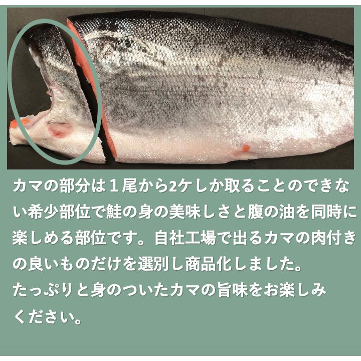 銀鮭カマ　1.0kg　工場直送　カマ　銀鮭　鮭　サーモン　塩鮭　切身　海鮮　訳あり　わけあり　海辺のマルシェ