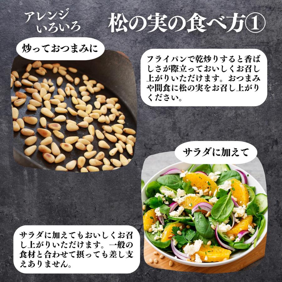 松の実 100g×10個 無添加 無塩 おすすめ 人気 ノンオイル 送料無料