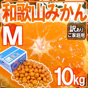 ”和歌山みかん” 訳あり Mサイズ 約10kg 送料無料