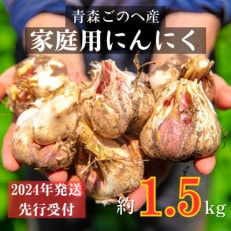 青森ごのへ町産にんにく　家庭用土付きLサイズ以上 約1.5kg