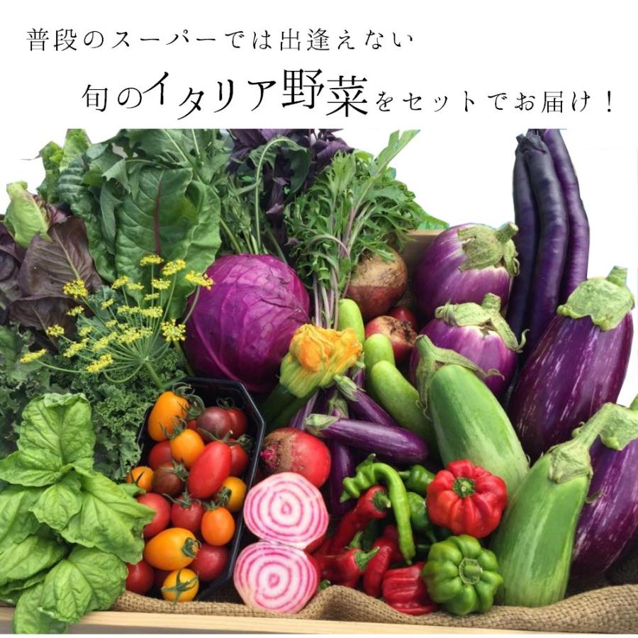 山形県かほくイタリア野菜お試しセット 4〜6種類入り 送料無料