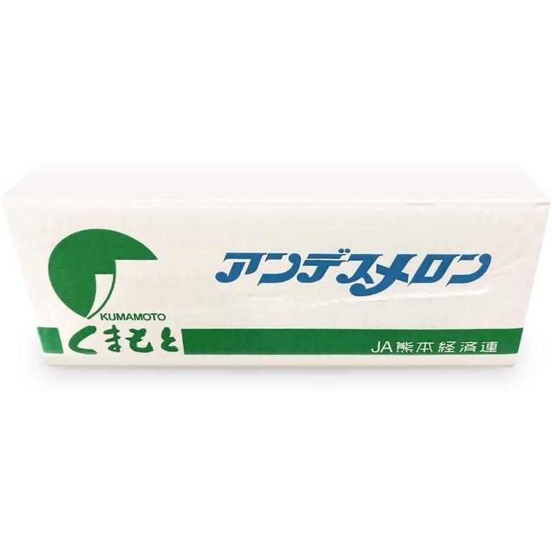 メロン アンデスメロン 秀品 1玉 1kg 熊本産或いは茨城産 2Lサイズ 甘みと香り 青肉メロン 熟成度高い 完熟フルーツ 母の日ギフトお