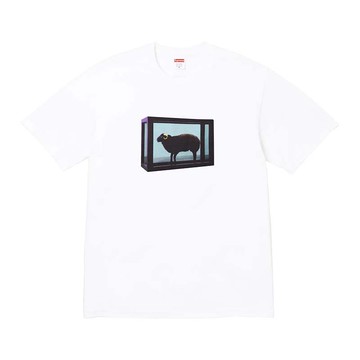 Supreme Black Sheep Tee White 黑山羊短袖 白色 SS25T5-WE [台灣現貨]