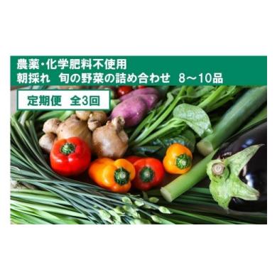 ふるさと納税 高知県 高知市 『定期便』土佐の太陽をいっぱいに浴びた旬の野菜セット小（3回配送）