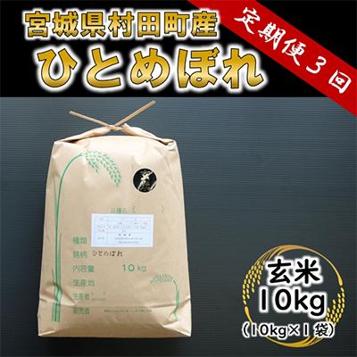 ふるさと納税 村田町 宮城県村田町産ひとめぼれ(玄米) 10kg 全3回