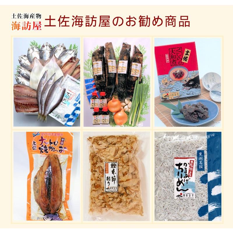 お歳暮 ギフト 魚 海産物 干物 詰合せ 高知県高知市場 土佐海産物 海訪屋 厳選１日干セット 送料無料 冷凍便でお届け