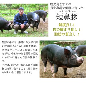 a688 《訳あり》鹿児島黒豚「短鼻豚」バラスライス小分けセット1kg(250g×4パック)国産 肉 豚肉 バラ肉 薄切り スライス 冷凍 小分け 1キロ