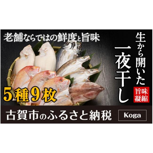 ふるさと納税 福岡県 古賀市 生から開いた一夜干しセット 5種9枚　 (株)アキラ・トータルプランニング