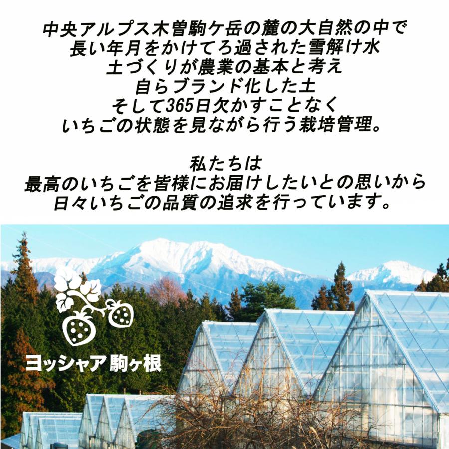 いちご農園の無添加 冷凍いちご 希少な南信州産100％ 便利な小分けタイプ 朝採れ完熟イチゴを真空冷凍  (カットタイプ 210g 4袋)