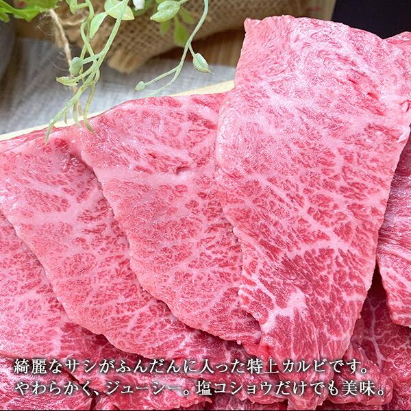 国産牛 和牛 カルビと銘柄豚の焼肉セット 500ｇ 佐賀牛 宮崎牛  黒毛和牛   バーベキュー