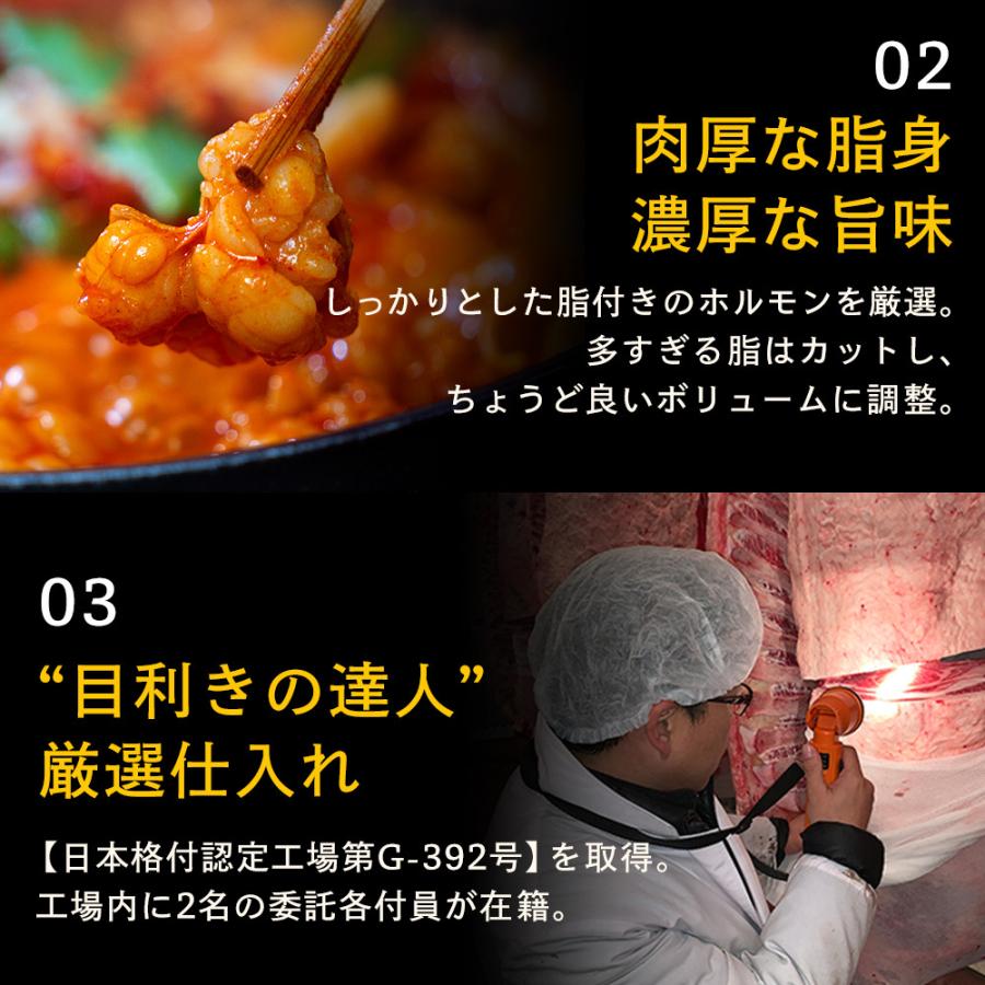 熊野牛とろホルモンの失神もつ鍋セット |敬老の日 お歳暮 和歌山 熊野 紀州 肉 お肉 高級 ギフト プレゼント 贈答 自宅用