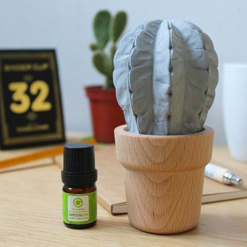 Green Idea｜仙人掌擴香座－H13.5cm