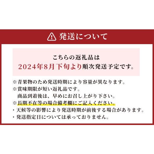 ふるさと納税 福岡県 広川町 シャインマスカット 約1.4kg 先行予約 産地直送