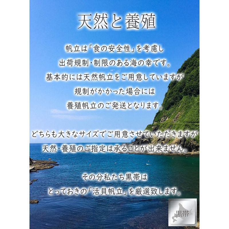 黒帯 活帆立貝 北海道 ホタテ貝 刺身用 特大 帆立 ホタテ (Lサイズ 5枚)